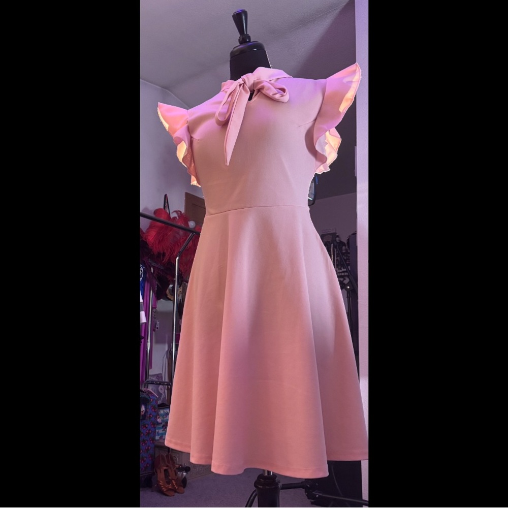 Spring Season Adjustable Tie-Neck Pink Fit & Flare Dress - Picture 3 of 16